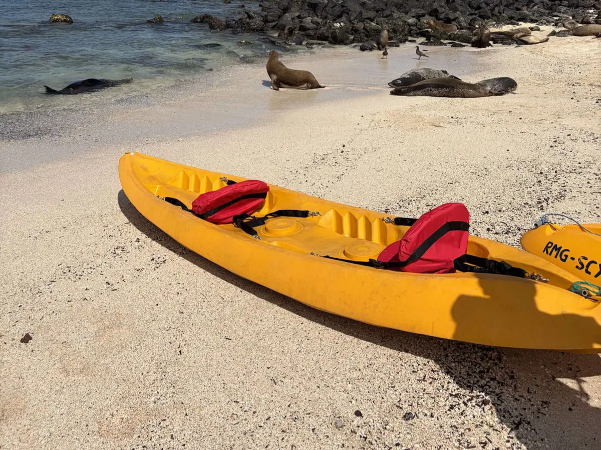 Renta de kayak