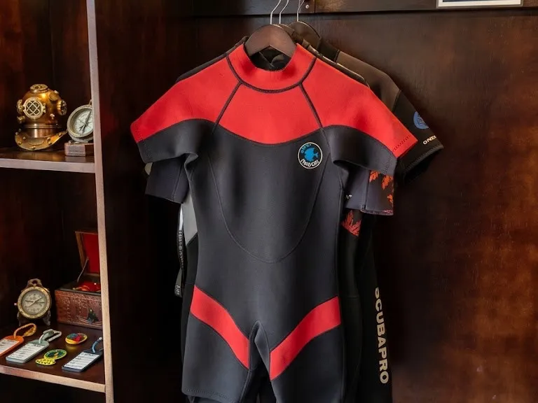 Renta de traje de neopreno