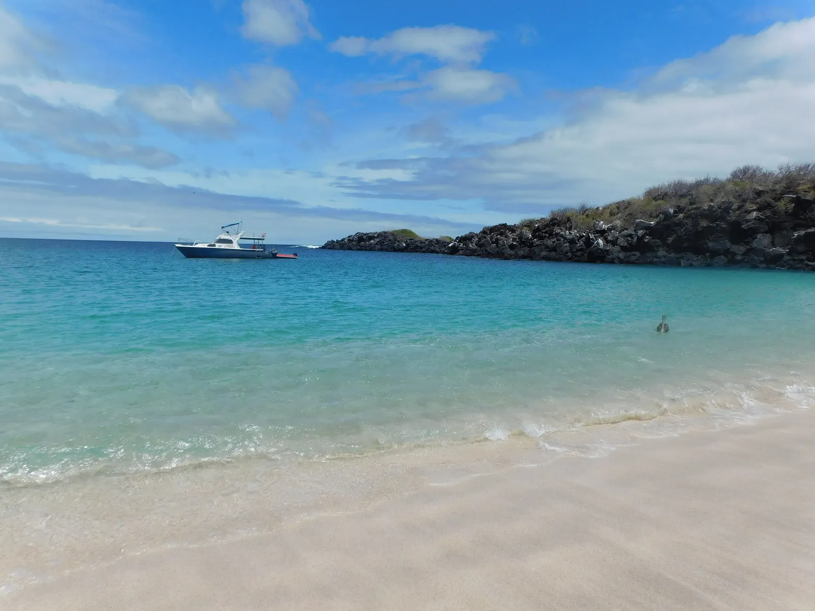 Isla Lobos